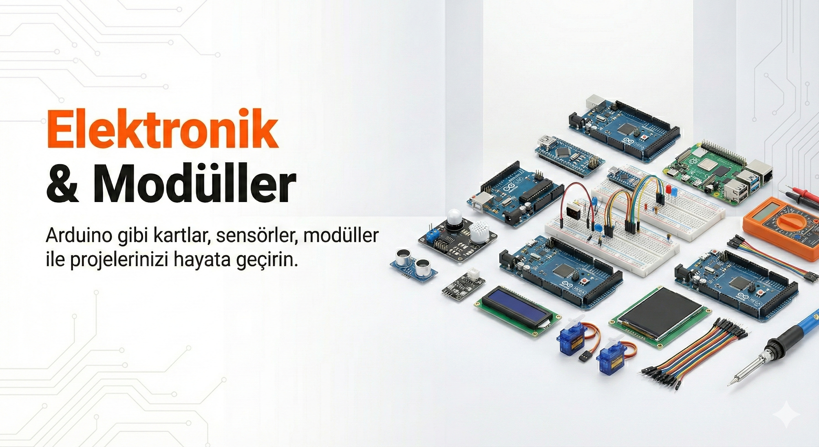 Elektronik & Modüller